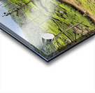 Toy Train Tea Plantations Acrylic print