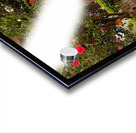 Red Flowers Gate Acrylic print