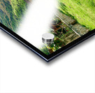 Half trees Acrylic print