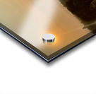 Sunset by the Temple Acrylic print