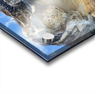 Special Rock Art Acrylic print