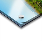 Working in the Field Acrylic print