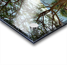 The Tree Acrylic print