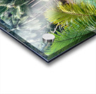 Blue Water in the Jungle Acrylic print