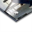 Dog Watching the Sunset Acrylic print