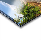 Follow The Road Acrylic print