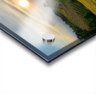 Sunset over the Rice Fields Acrylic print