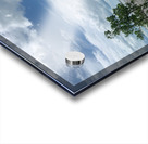 The Tree Acrylic print