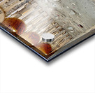 Sad Puppy Acrylic print