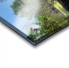 Half Wall Protection Acrylic print