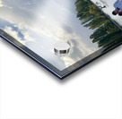 Newlyweds by the Wanaka Tree Acrylic print