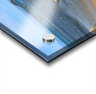 Angry Bird Acrylic print