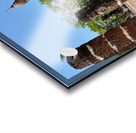 Wat Sa Si Temple 2 Acrylic print