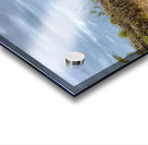 Dog in the Field Acrylic print