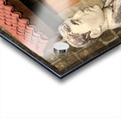 Busted Door Acrylic print