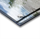 The Lonely Tree 2 Acrylic print