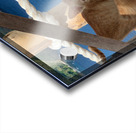 Kitties with a View Acrylic print