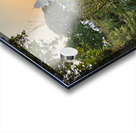 Golden Temple Amritsar 4 Acrylic print