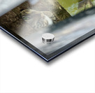 Kampong Ayer Floating Village Brunei 5 Acrylic print