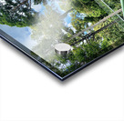 Kabili Sepilok Forest Reserve 2 Acrylic print