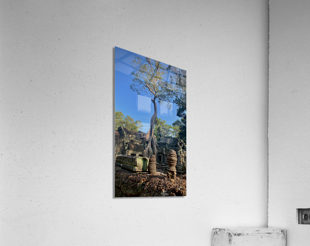 Temple Tree 2 Acrylic Print