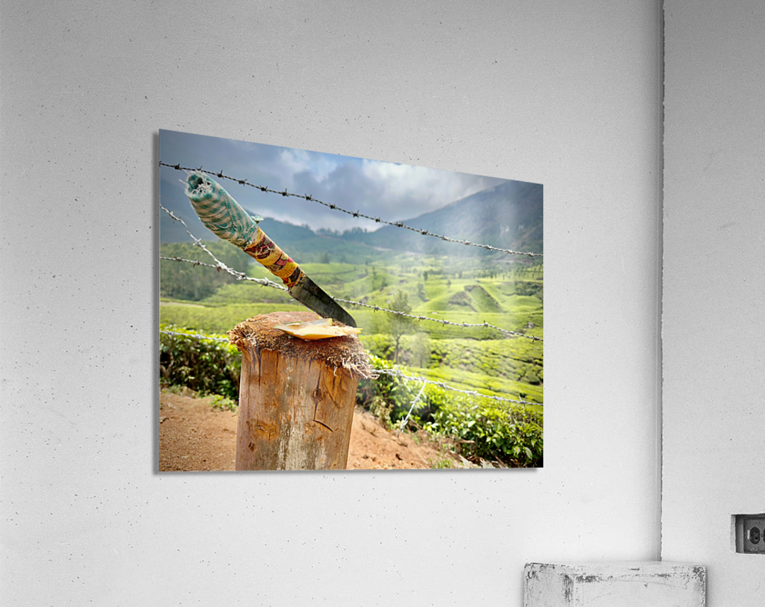 Coconut Knife Acrylic Print