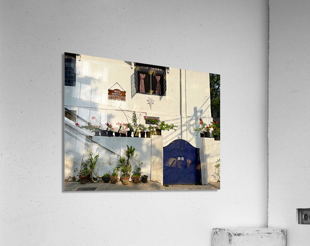 Vasco is not Home Acrylic Print