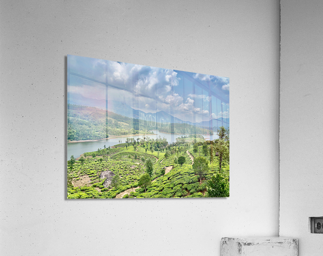 Beautiful River Through Tea Plantations Acrylic Print