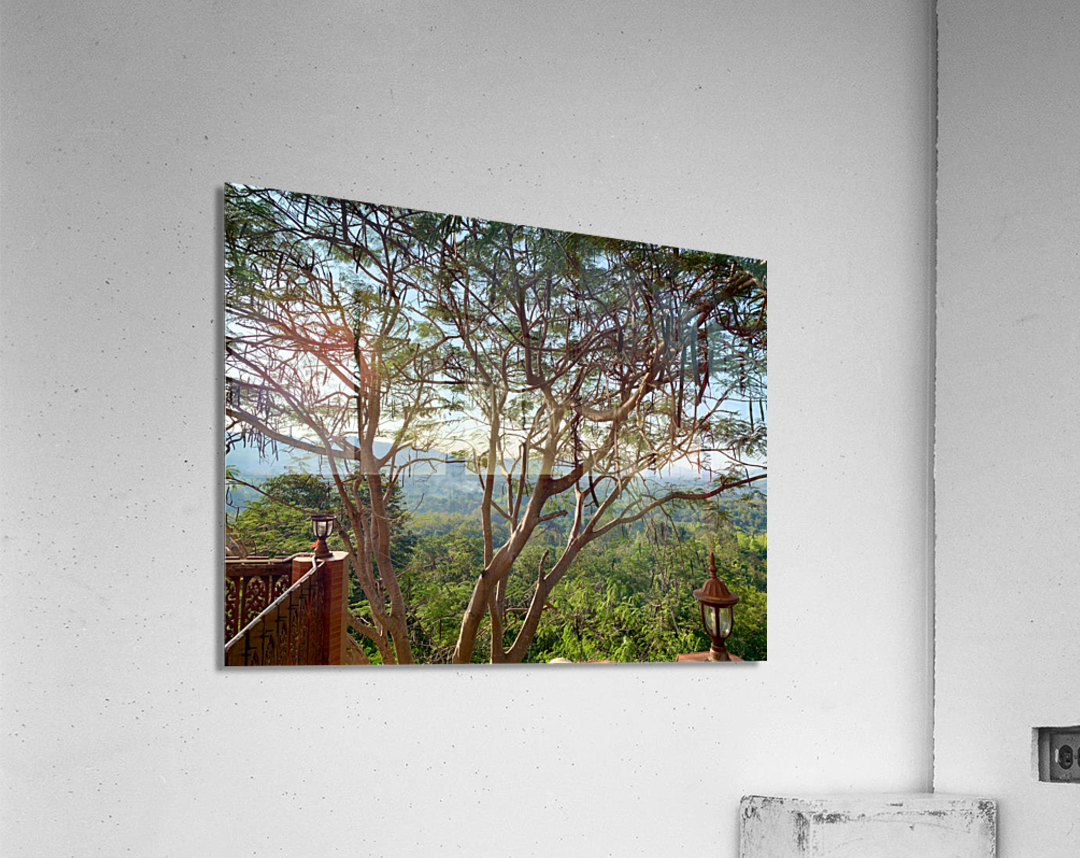 The Tree Acrylic Print