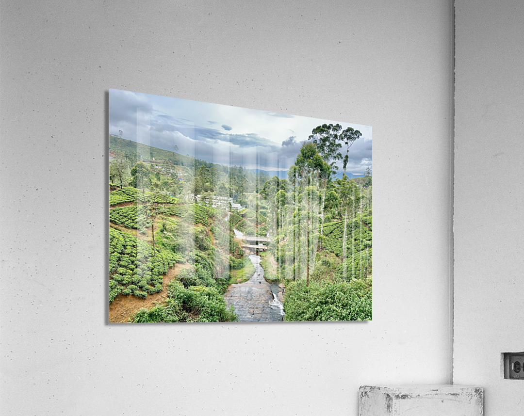 River Through the Tea Plantations Acrylic Print