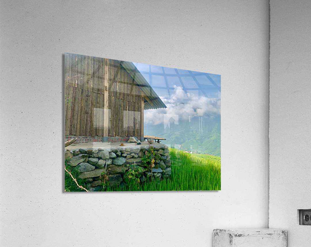 House in the Rice Fields Acrylic Print