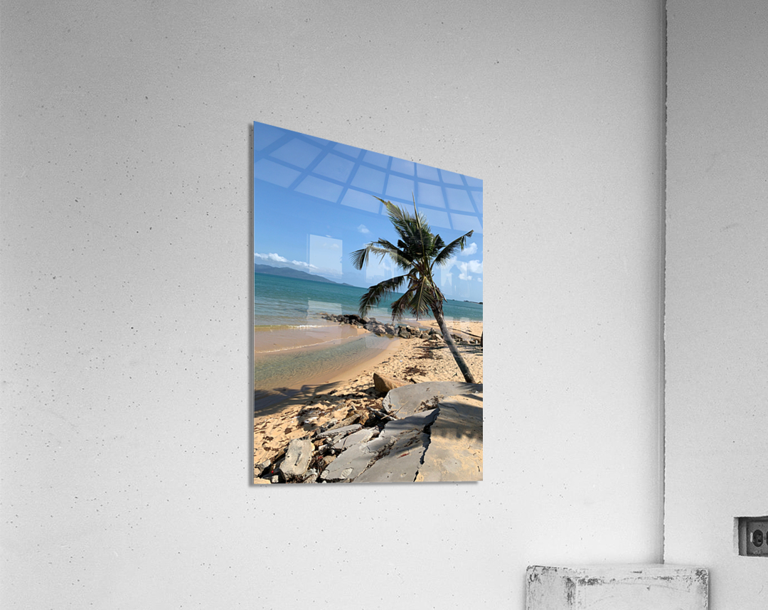 Mini Palm Tree Acrylic Print