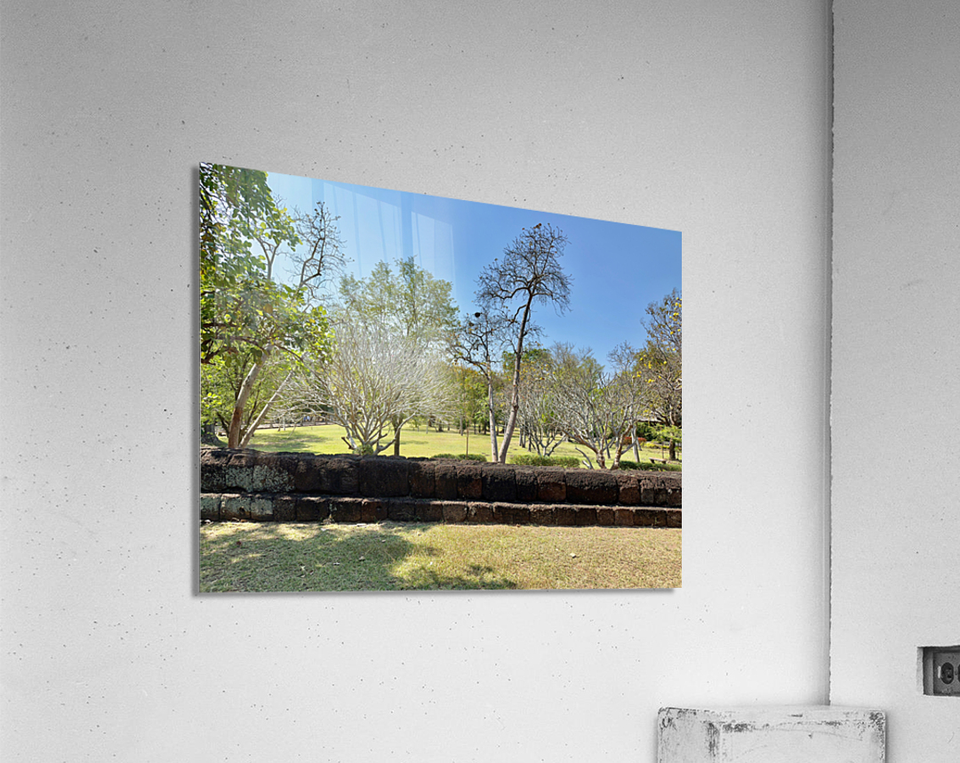 Half Wall Protection Acrylic Print