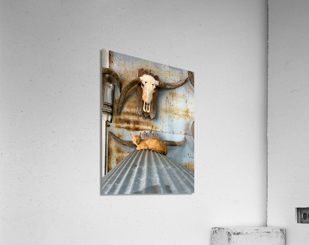 A Cat with Horns Acrylic Print