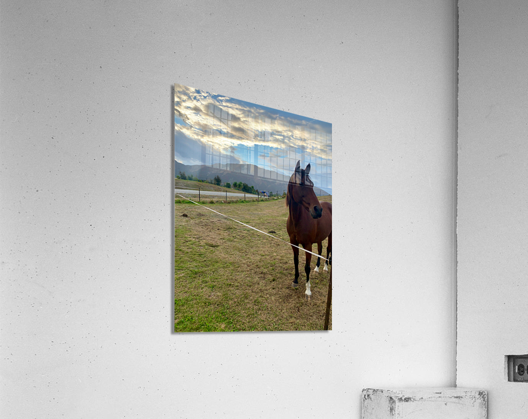 Horse by the Mountains Acrylic Print