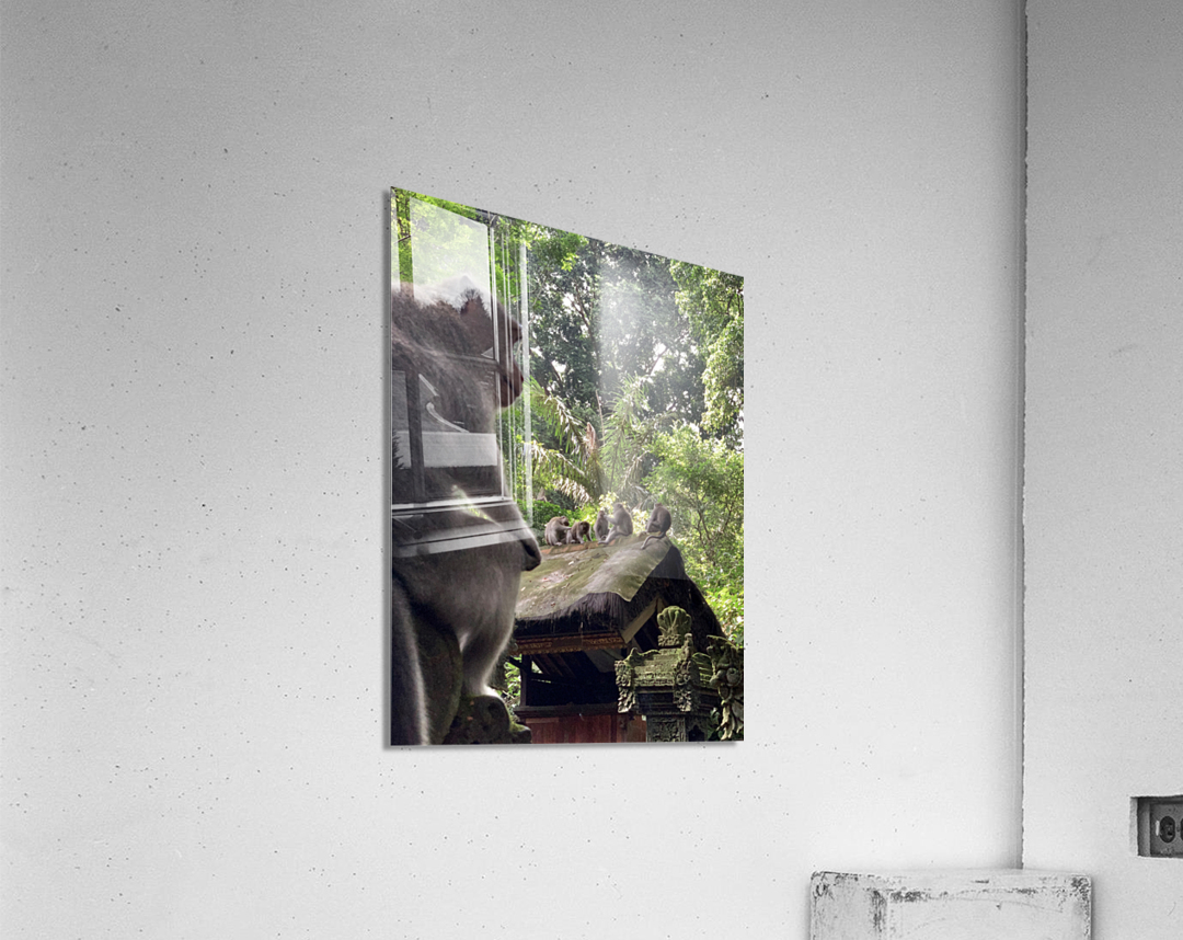 Monkeys on the Roof Acrylic Print