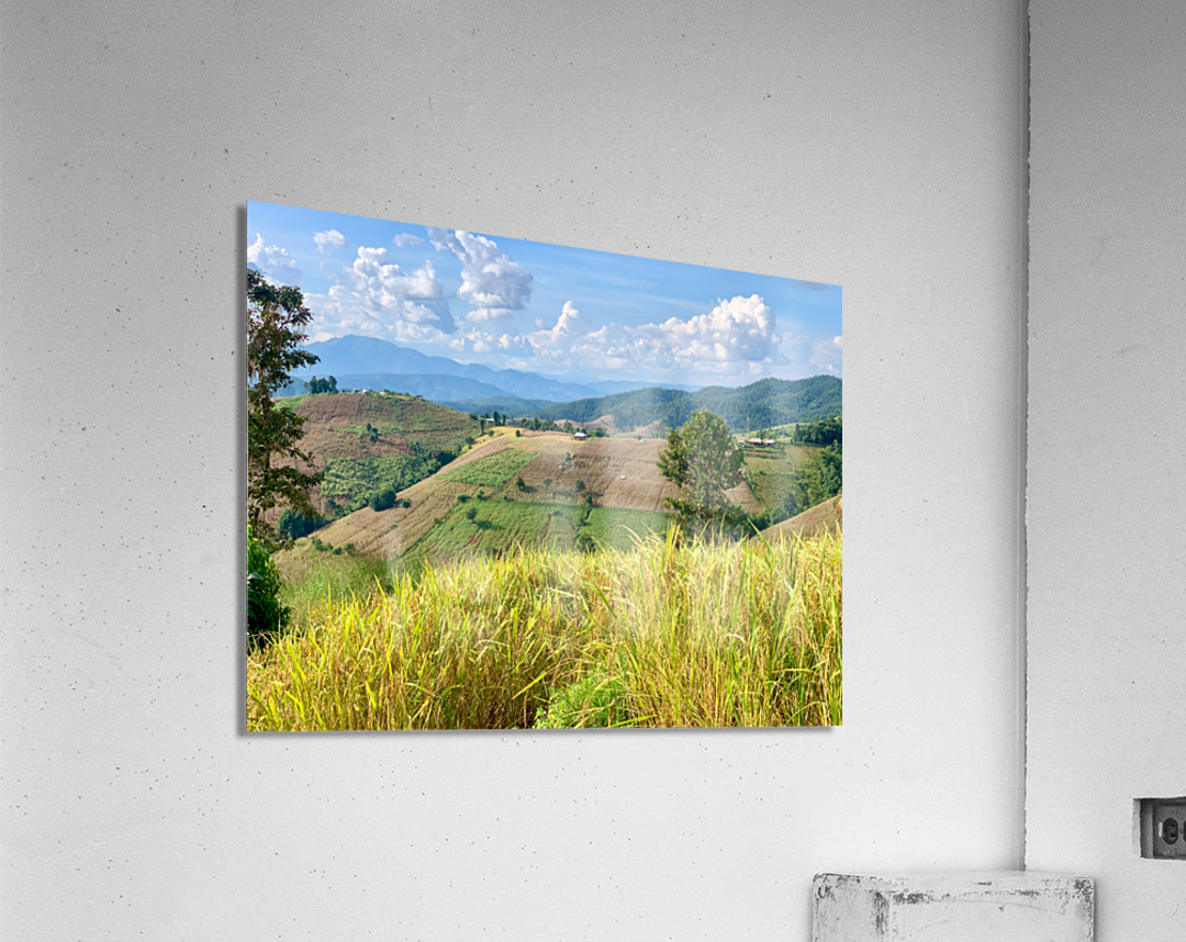 Amazing Landscape 3 Acrylic Print