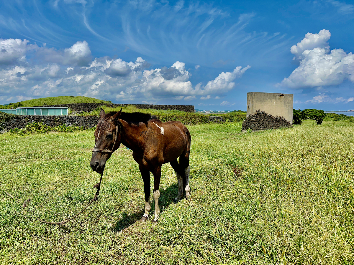 Impression de cadre personnalisé