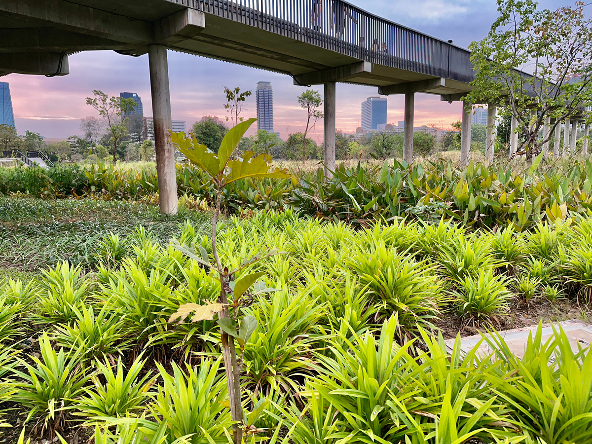 Impression de cadre personnalisé