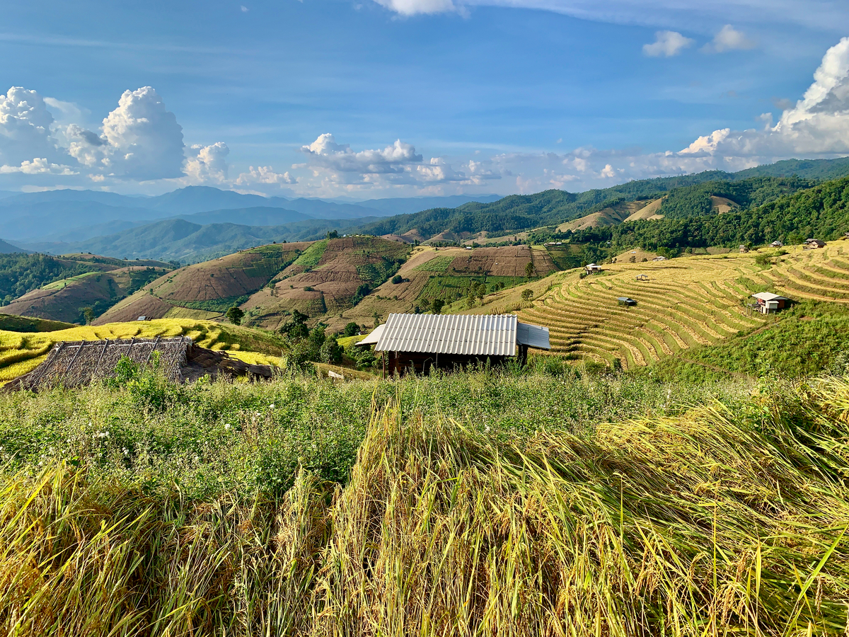 Impression de cadre personnalisé