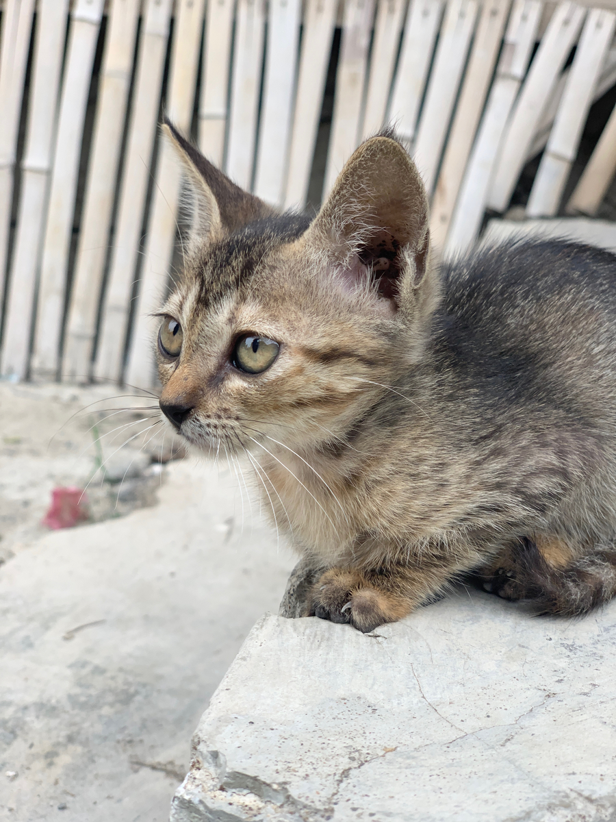 Impression de cadre personnalisé