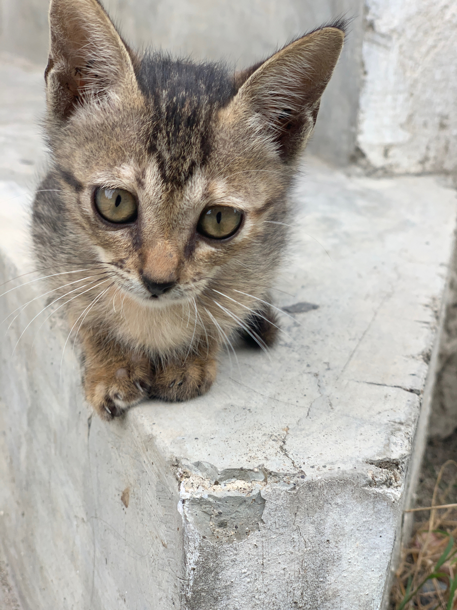 Impression de cadre personnalisé