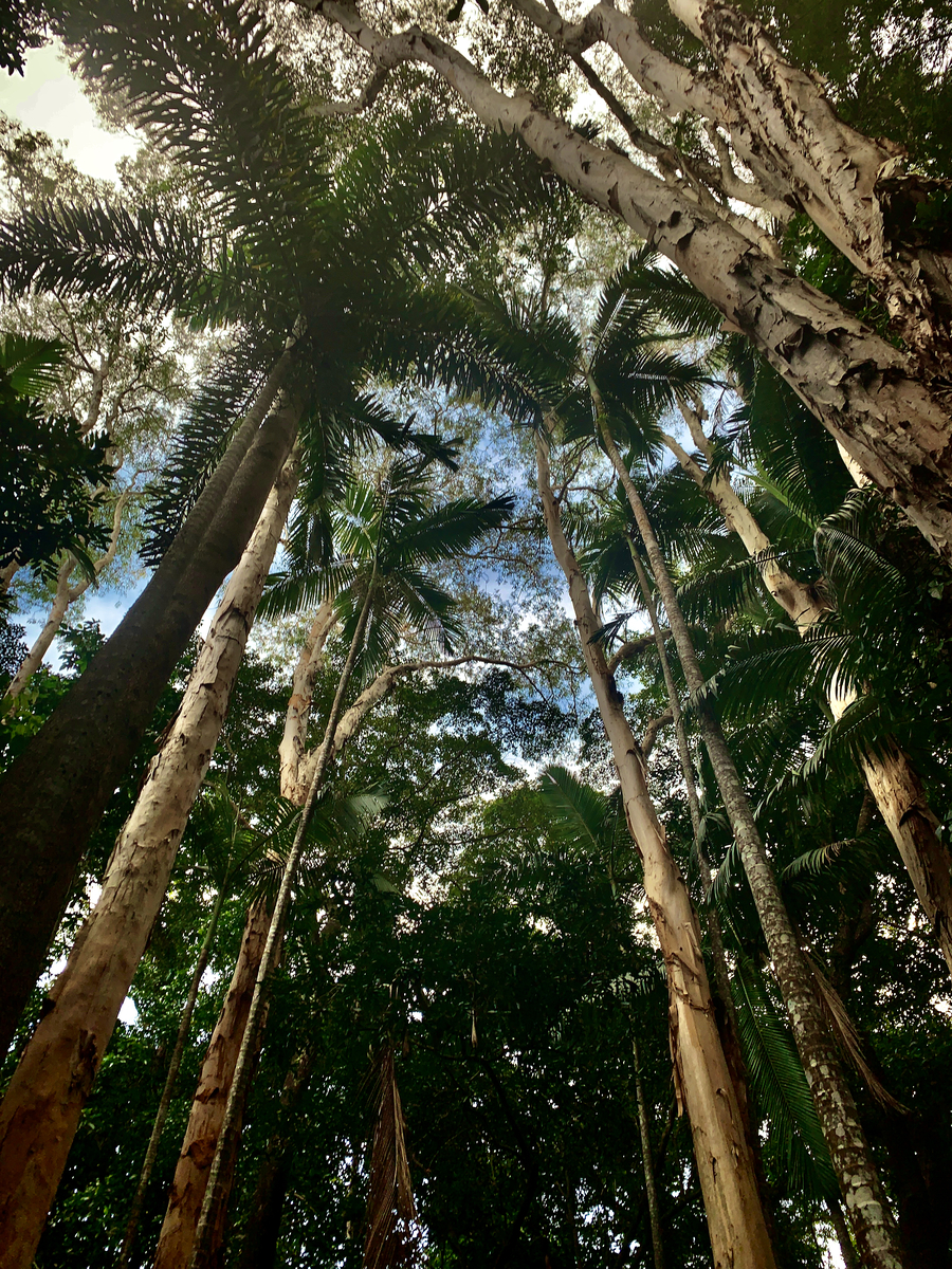 Impression de cadre personnalisé