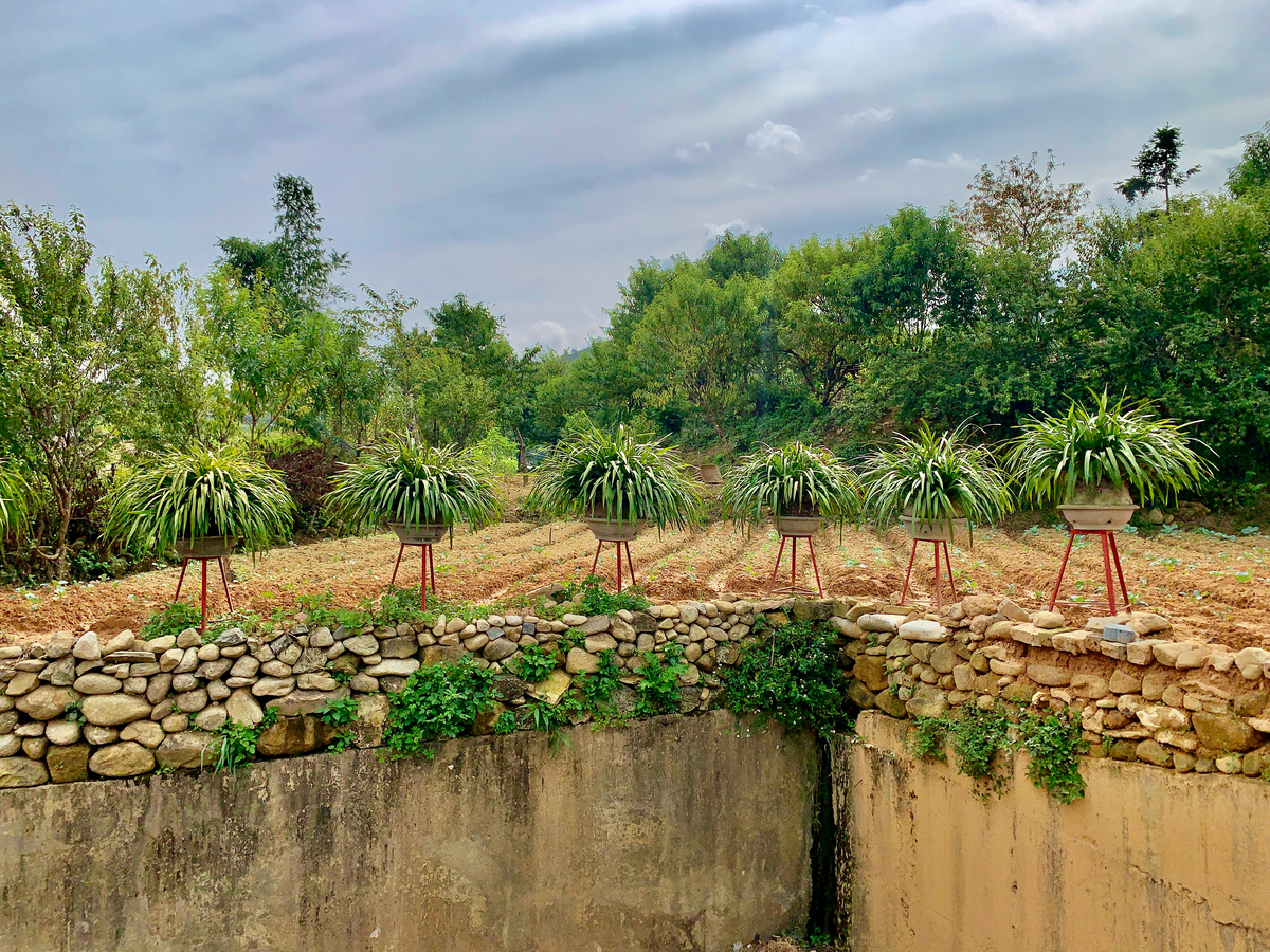 Impression de cadre personnalisé