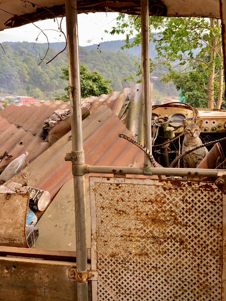 Impression de cadre personnalisé