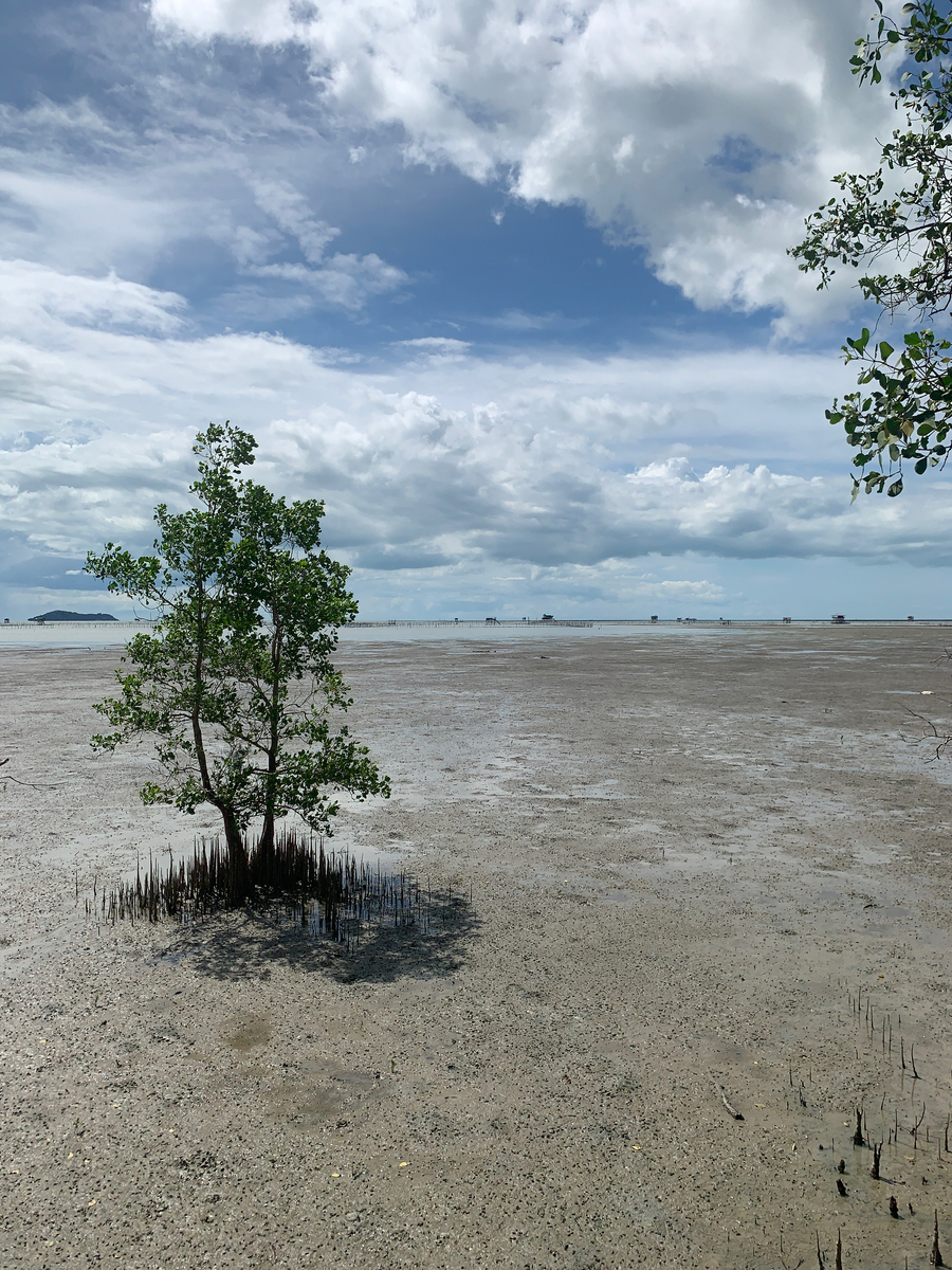Impression de cadre personnalisé