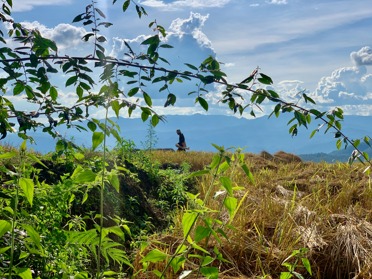 Impression de cadre personnalisé