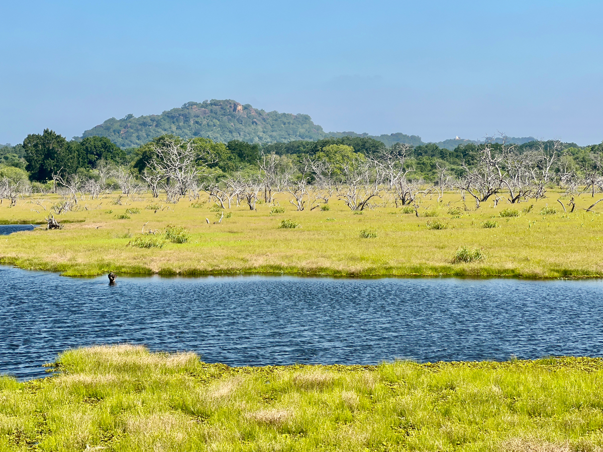 Impression de cadre personnalisé