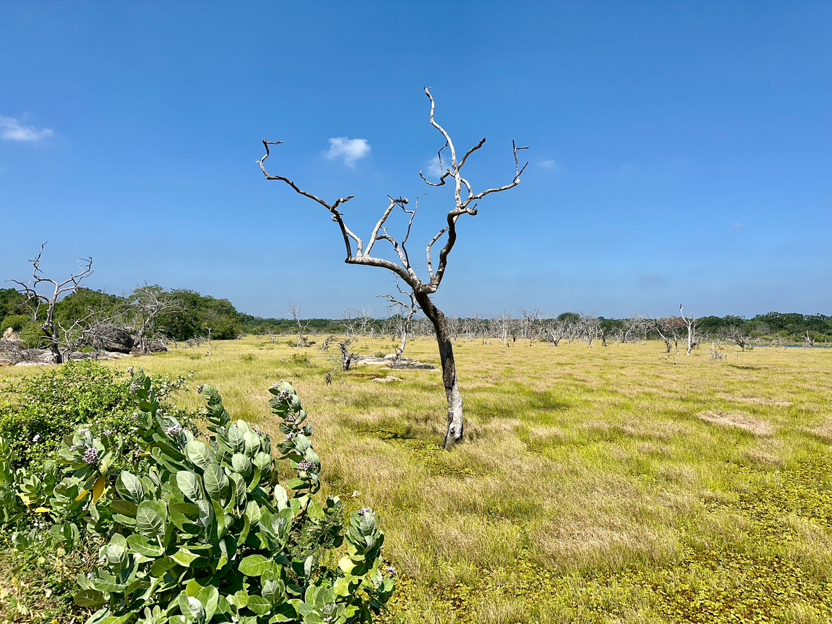 Impression de cadre personnalisé