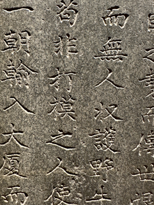 Ancient Stone Carvings Seoul South Korea